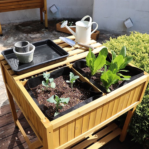 正方形四格高脚苗床