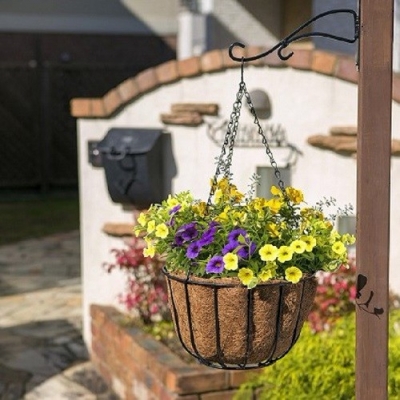 Qsui Aqua Hanging Basket