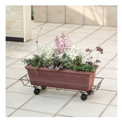 Plant Carry With Card