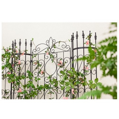 Round Trellis