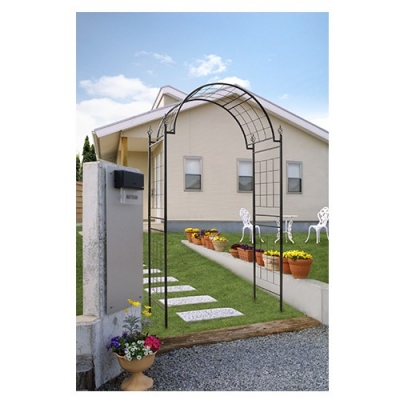 G-story Climbing arch rose castle