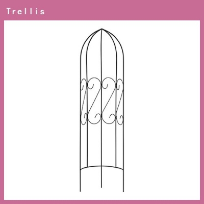 R Trellis