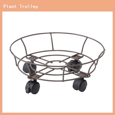 Conte Carry With Card