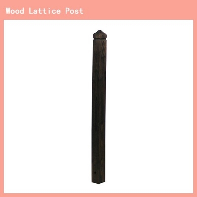 Lattice Post Y
